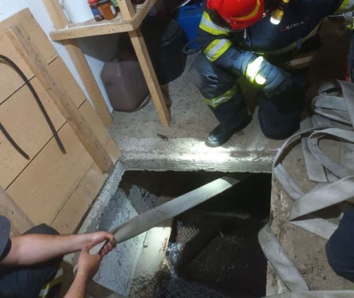 Un vițel de aproape 300 de kilograme salvat dintr-un beci adânc de doi metri