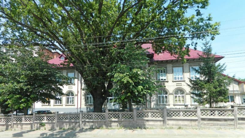 CONTED Dorohoi angajează femei de serviciu și operator calculator