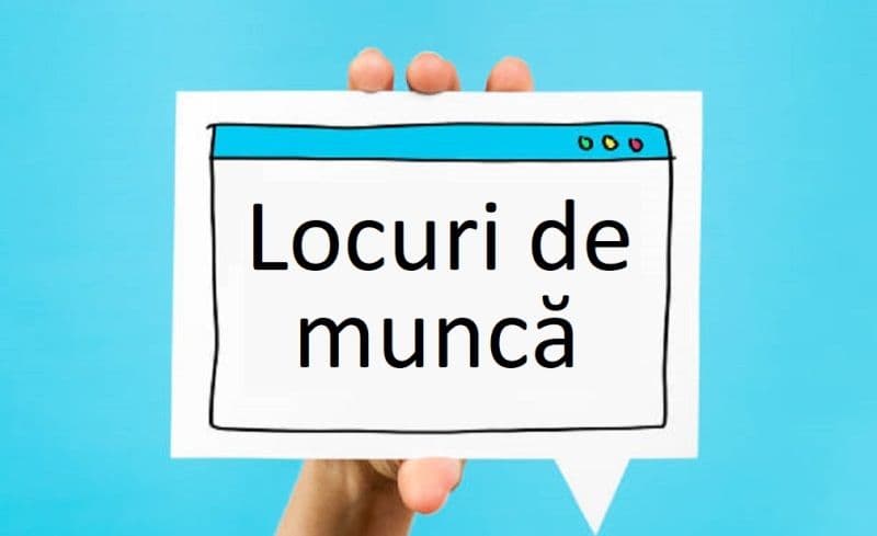 Locuri de muncă vacante la sfârșitul lunii iulie, în Județul Botoșani