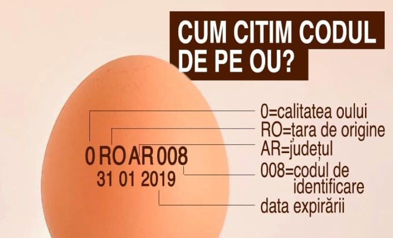 Cum citim corect eticheta de pe ouă. Ce înseamnă literele şi cifrele