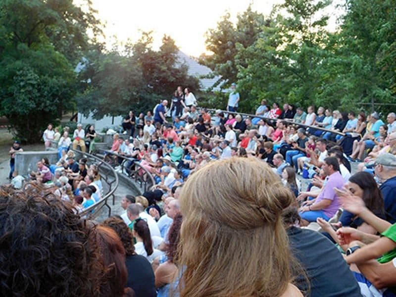 Vezi cum poți deveni voluntar la Festivalul Național de Muzică Seri Eminesciene!