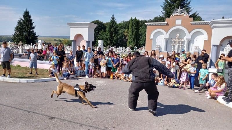 Activitate estivală a jandarmilor botoșăneni: 130 de copii au luat parte la întâlniri cu câinii de serviciu - FOTO