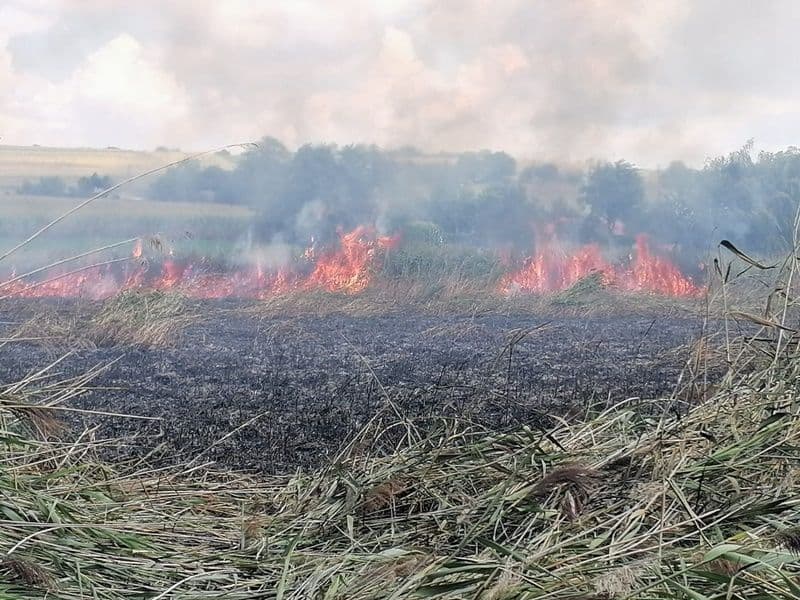 Pompierii au intervenit la trei incendii de vegetație în ultimele ore - FOTO