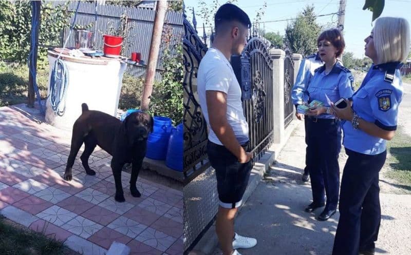 Deținătorii de arme și de câini periculoși, verificați de polițiști. 14 arme au fost indisponibilizate