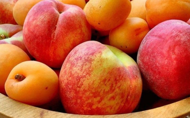 Află ce fructe sunt considerate „desertul ideal al verii”, satisfac pofta de dulce și nu îngrașă