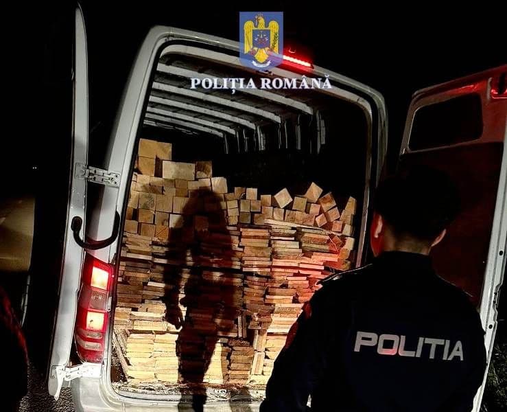 Peste șapte metri cubi de material lemnos confiscat la Darabani