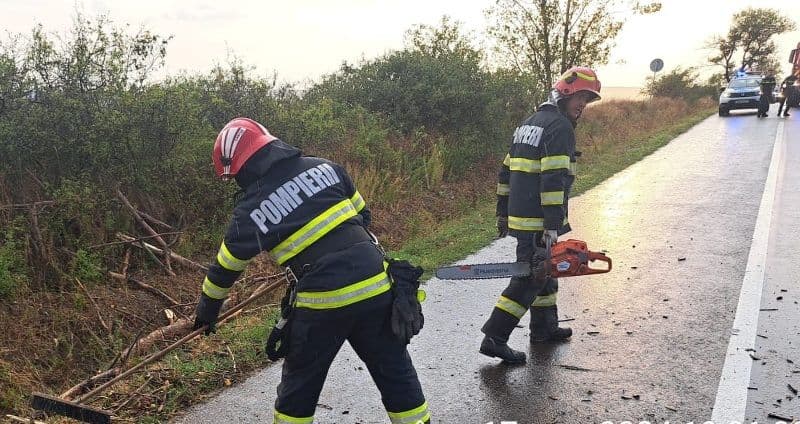 Vântul puternic a doborât un copac pe un drum județean - FOTO