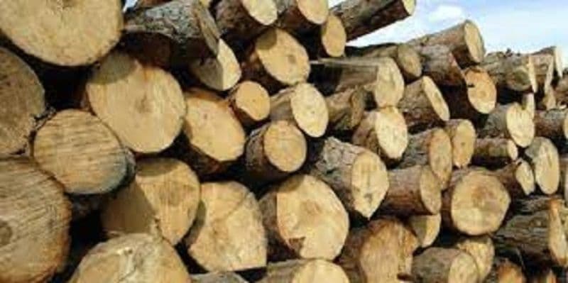 6 metri cubi de material lemnos fără documente legale, confiscat de polițiști la Dorohoi 