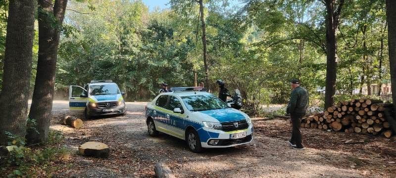 Amendați cu 5000 lei după ce au pătruns pe fondul forestier cu motocicletele - FOTO