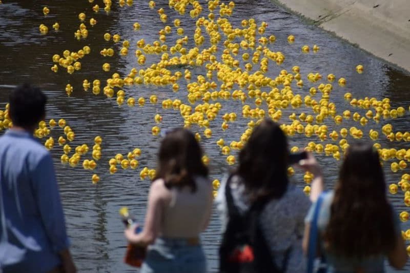 Vino la cea mai veselă competiție a toamnei: „Cursa de Rățuște”, pe râul de rafting de la Cornișa Aquapark! - FOTO