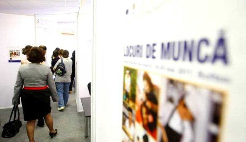 Locurile de muncă vacante la nivelul județului Botoșani la 23 septembrie