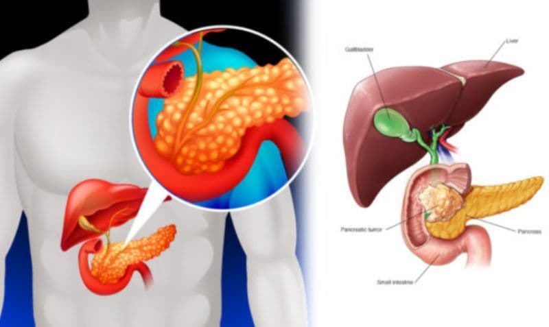 Pancreasul tău ar putea fi vinovat de kilogramele în plus