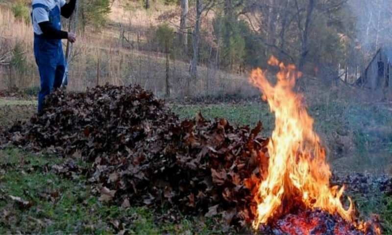 SVSU Dorohoi: Recomandări de toamnă