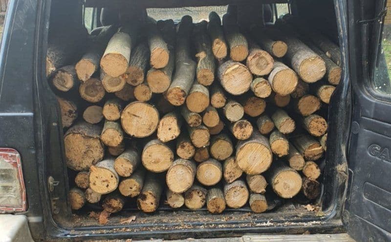Material lemnos confiscat și amendă de 1.000 de lei pentru lipsa documentelor 