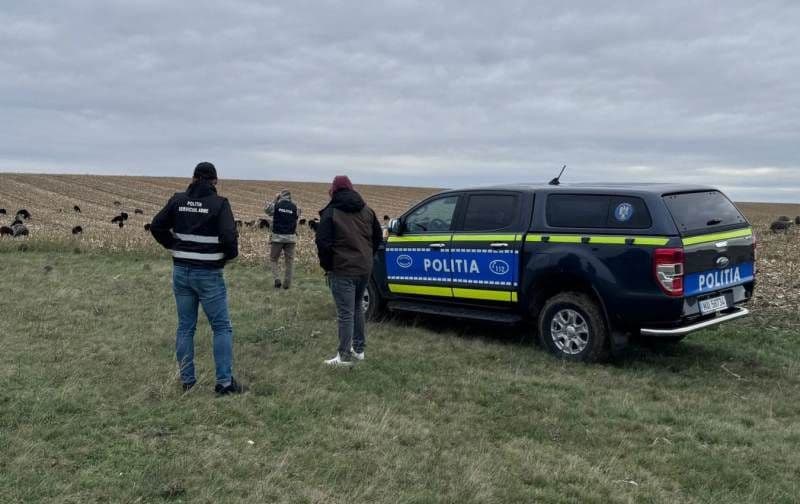 Activități preventive desfășurate de polițiști pentru protecția animalelor