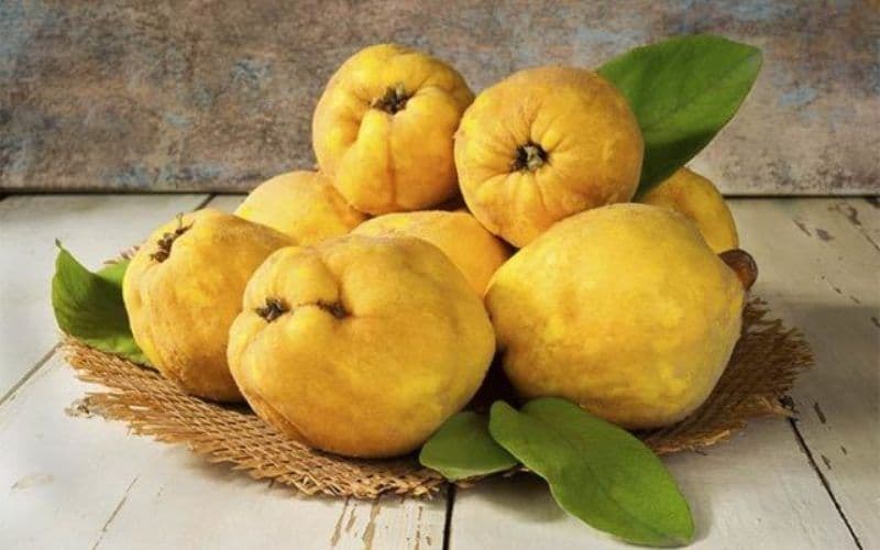 Gutuia: Fructul cu proprietăți benefice pentru sănătate