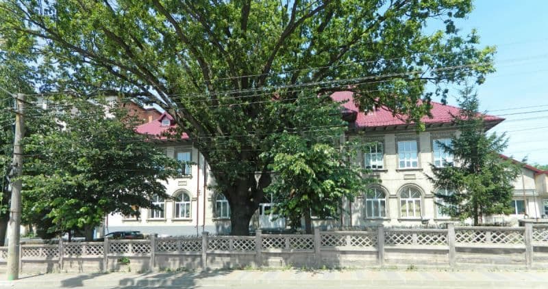 SC CONTED SA Dorohoi angajează secretară, referent tehnic și călcător