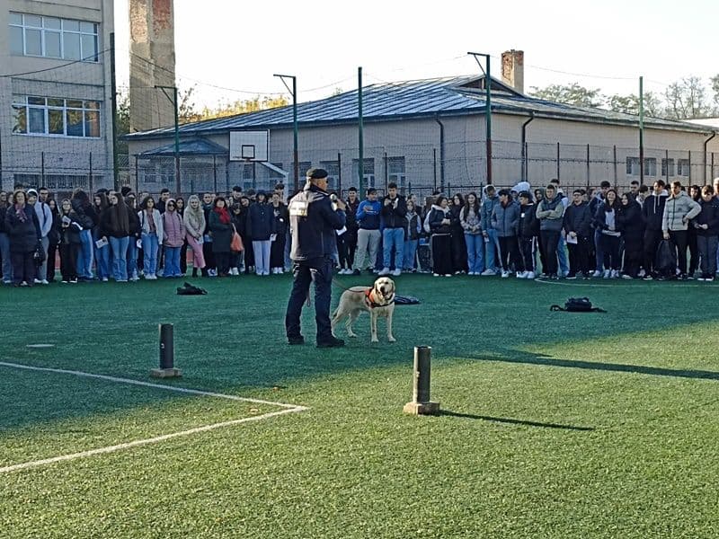 Activități cu impact desfășurate la Liceul „Regina Maria”, Dorohoi, în cadrul Programului Național „Săptămâna Verde” - FOTO