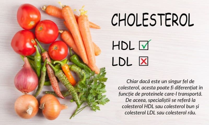Cum să distingem colesterolul bun de cel rău