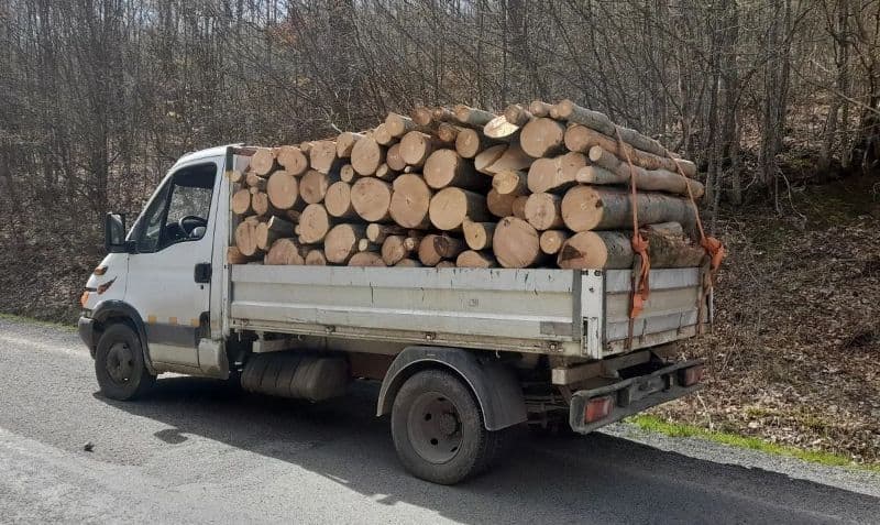 Peste doi metri cubi de material lemnos confiscat la Hilișeu Horia