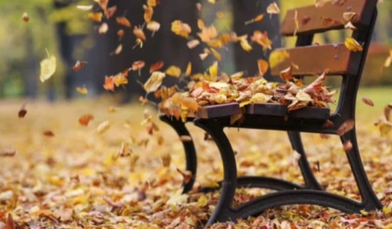 ACUM! Cod Galben de intensificări ale vântului