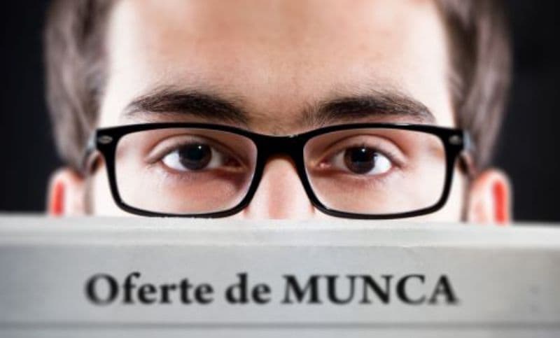 Locurile de muncă vacante la nivelul județului Botoșani la data de 4 noiembrie