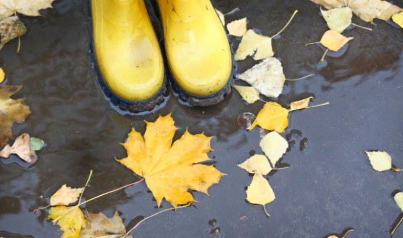 Prognoza meteo pentru următoarele două săptămâni. Vremea se răcește treptat și vin ploile