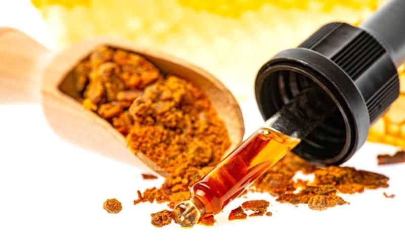 Tinctura de propolis: 10 beneficii pentru sănătate, dovedite științific