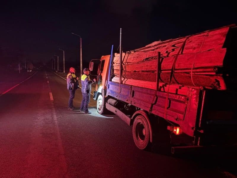 Material lemnos confiscat în cadrul unei acțiuni la Bucecea