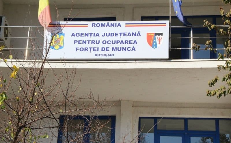 Mii de botoșăneni angajați prin AJOFM până la această dată: Cei mai mulți dintre ei au peste 45 de ani