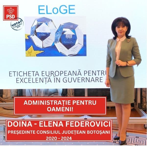 Doina Federovici: Cooperarea internațională, cheia atragerii fondurilor pentru dezvoltarea județului - FOTO