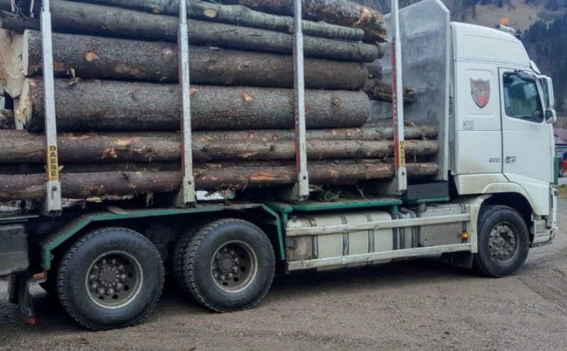 Razie de amploare în orașul Ștefănești. Peste 30 de metri cubi de material lemnos confiscați