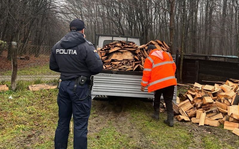 Material lemnos confiscat de Polițiștii din Dorohoi
