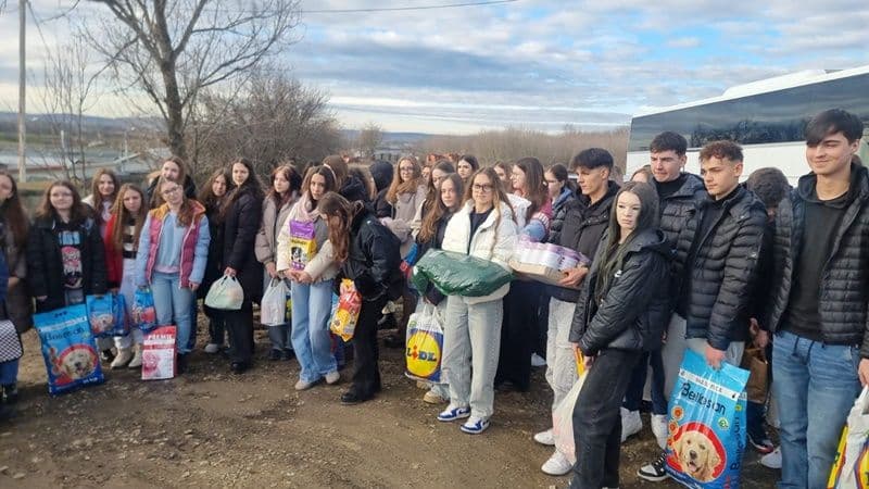 „Privește viața prin ochi de cățel!” - activitate organizată de elevii Colegiului Național „Grigore Ghica” Dorohoi