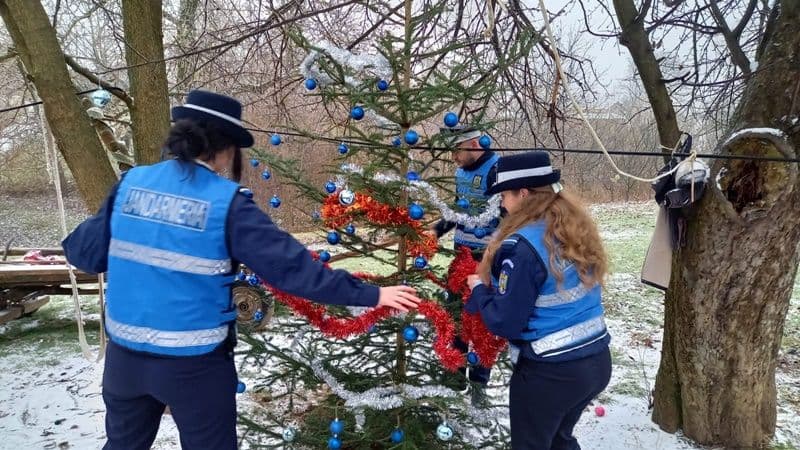 Jandarmii au dăruit și au împodobit un brad de Crăciun pentru o familie din județ cu posibilități financiare reduse - FOTO