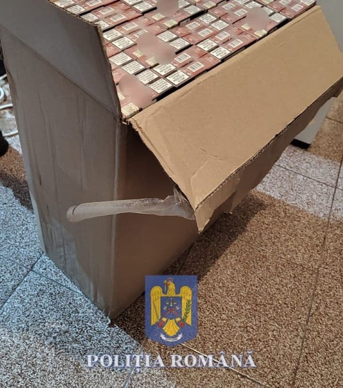 Perchezitii (1)