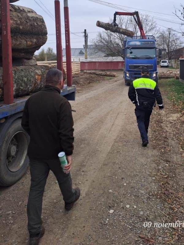 Material lemnos confiscat Ștefănești
