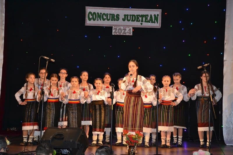 Concurs judetean Dorohoi_006