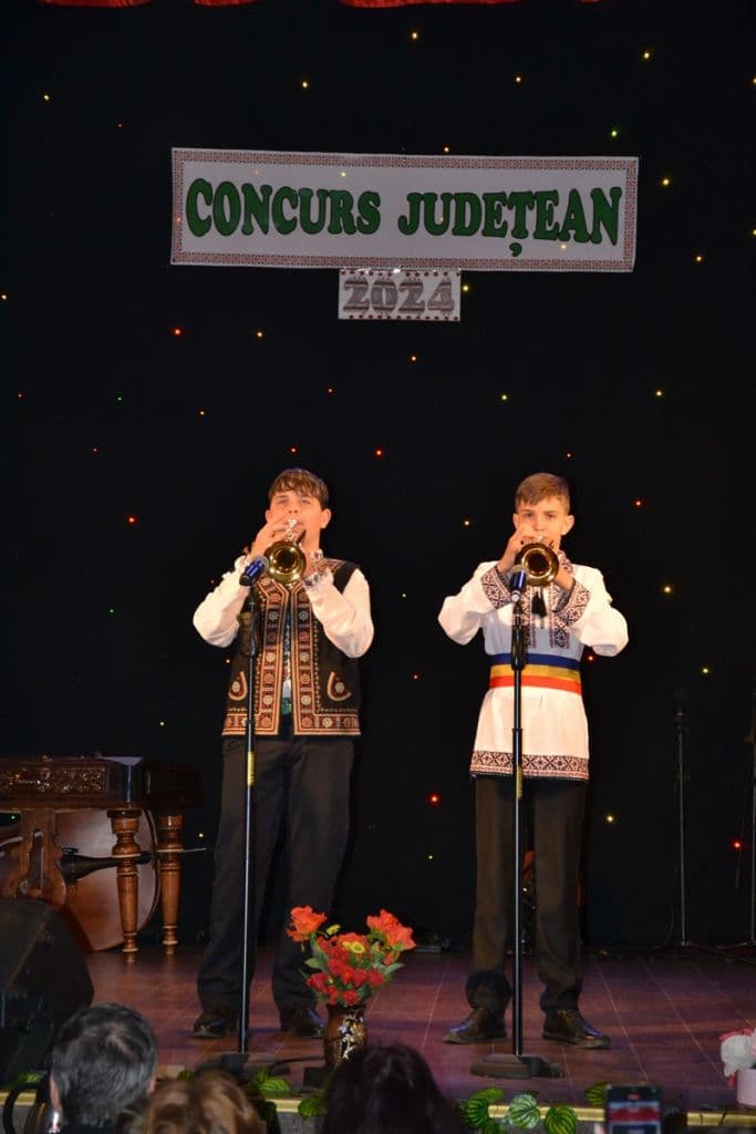 Concurs judetean Dorohoi_008