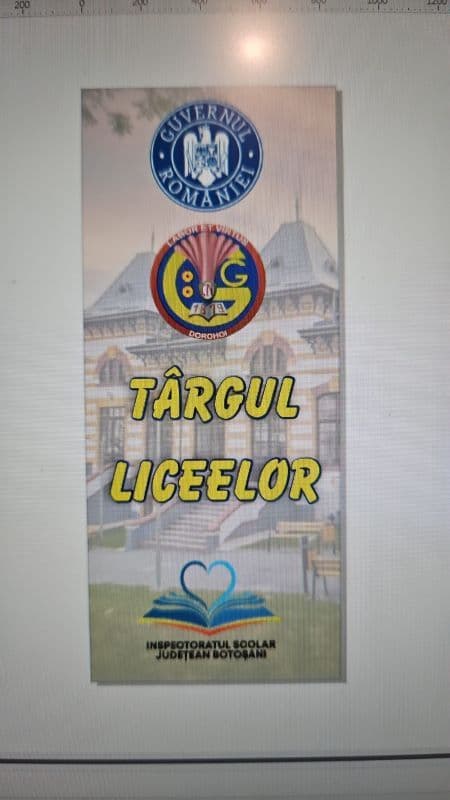 Licee_11