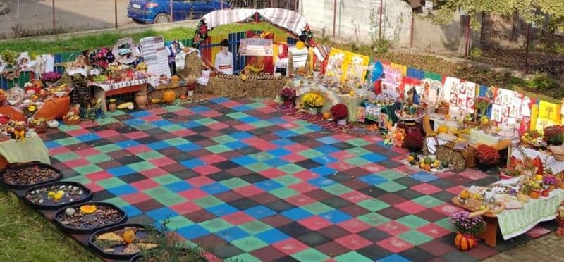 Festivalul toamnei_007