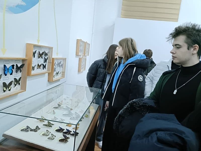 Ghica_08