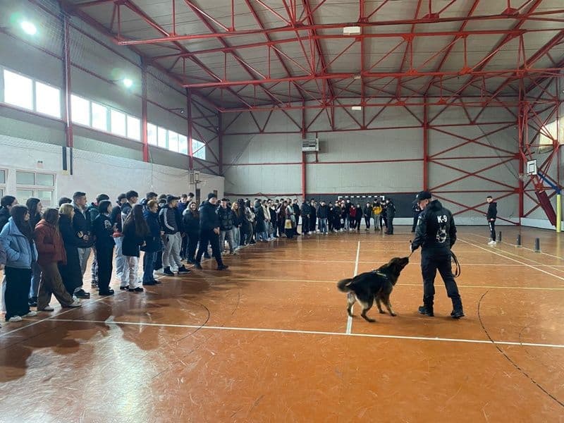Ghica_08