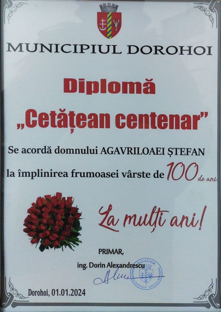 Agavriloaei Stefan_03