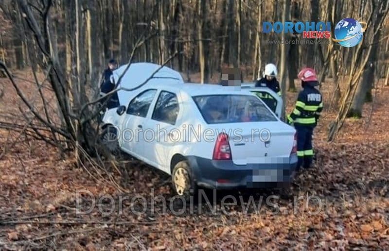 Accident Gorovei_05