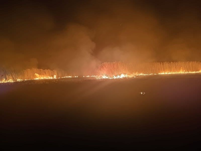 Incendiu (4)