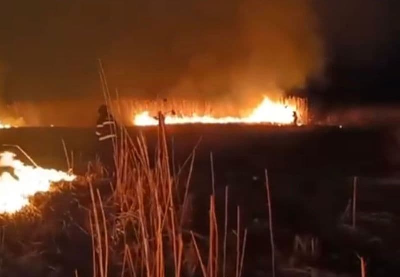 Incendiu vegetatie_ (1)
