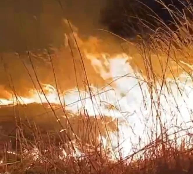 Incendiu vegetatie_ (2)