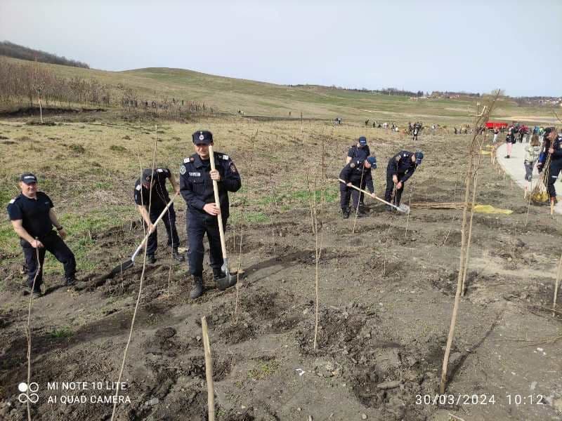 Pompieri dorohoieni_voluntariat (5)