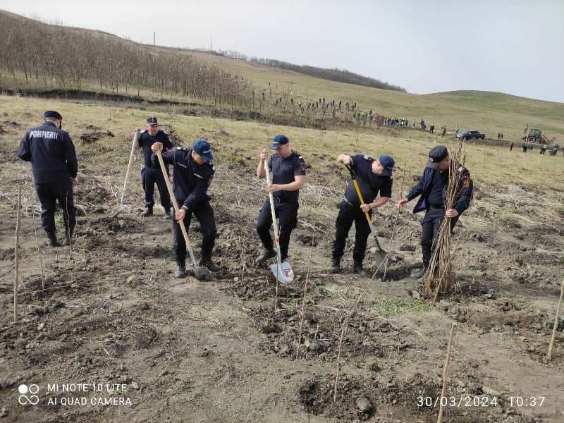 Pompieri dorohoieni_voluntariat (6)